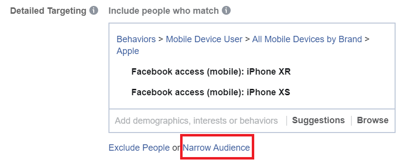 Narrow Audience in Facebook Ads Manager