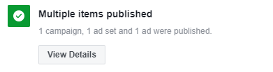 Successful Publish in Ads Manager