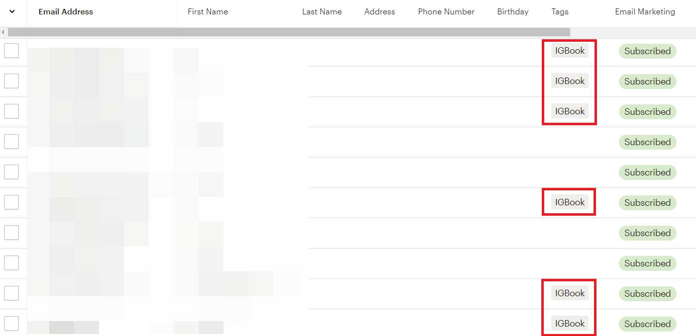 Subscriber Tag on MailChimp for segmentation