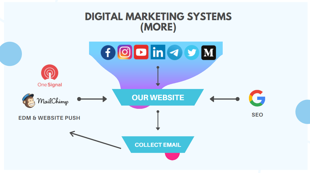 MORE的Digital Marketing系統