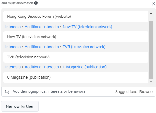 meta ads - detail targeting 2