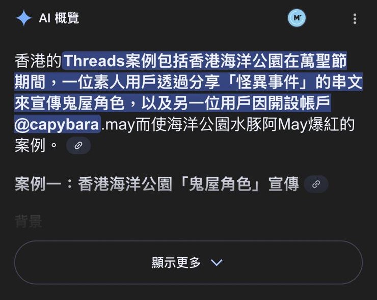 AI Overview 樣式